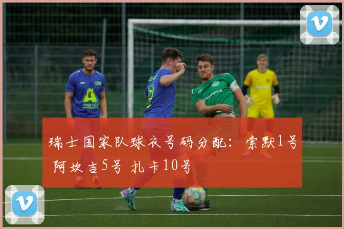 瑞士国家队球衣号码分配：索默1号 阿坎吉5号 扎卡10号