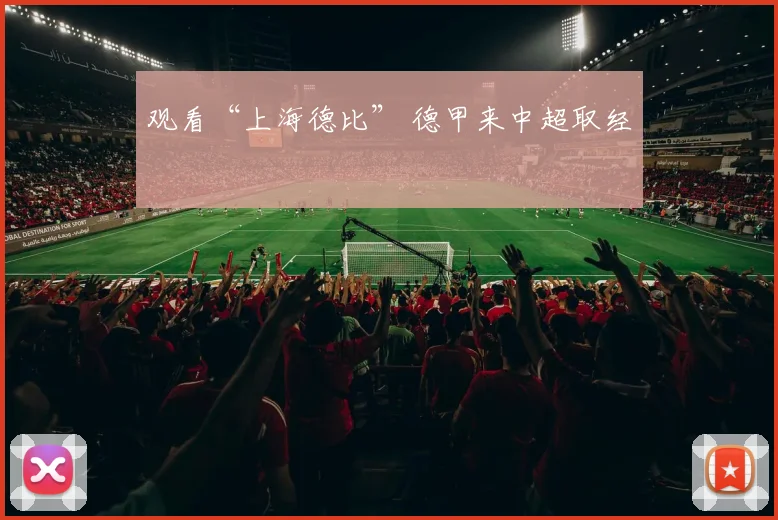 观看“上海德比” 德甲来中超取经